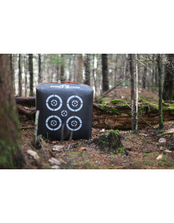 Zone T3 Cible T400