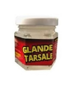 Glande Tarsal Synthetique