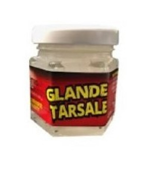Glande Tarsal Synthetique