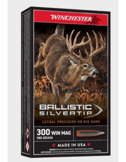 300 Winchester 180g Ballistic Silver Tip