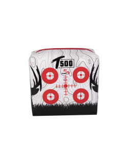 Zone T3 Cible T500
