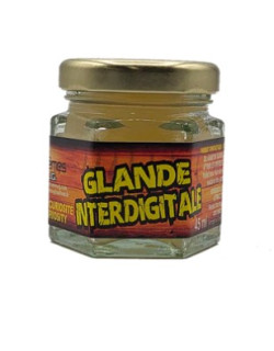 Glande Interdigitale
