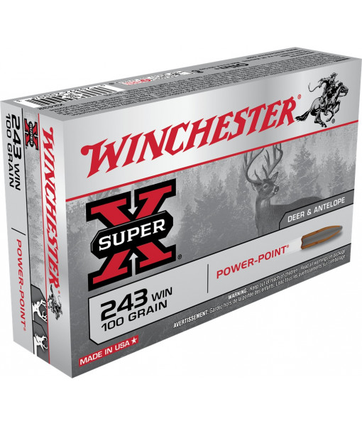 243 100g Winchester