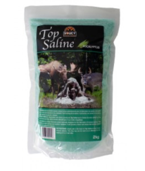 Top Saline Eucalyptus