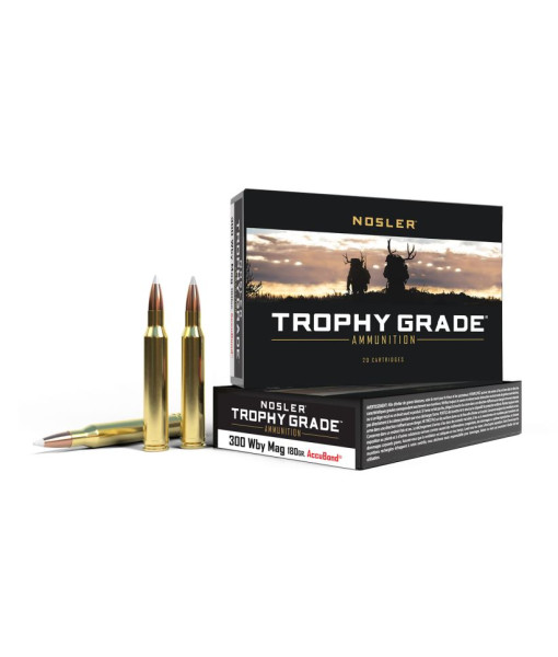 Balles Nosler 300 Weatherby 180g Accubond