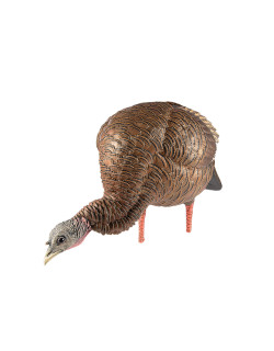 Appelant Hdr Feeding Hen