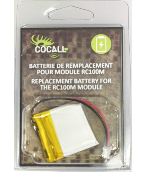 Batterie De Rechange Module Rc100m