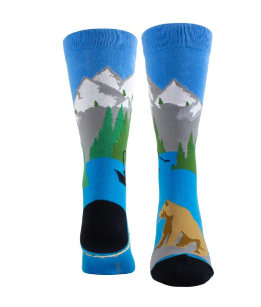 Bas - Ours et Saumon