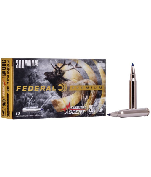 Balles 300 Win Mag 200gr Terminal Ascent