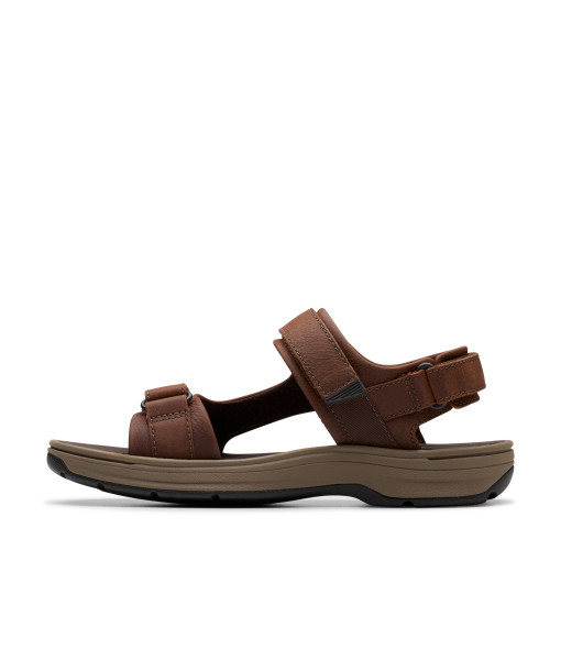 Sandales - Saltway Edge Dark Brown - Homme