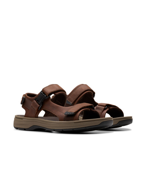 Sandales - Saltway Edge Dark Brown - Homme