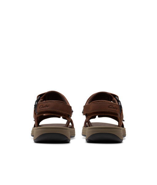 Sandales - Saltway Edge Dark Brown - Homme