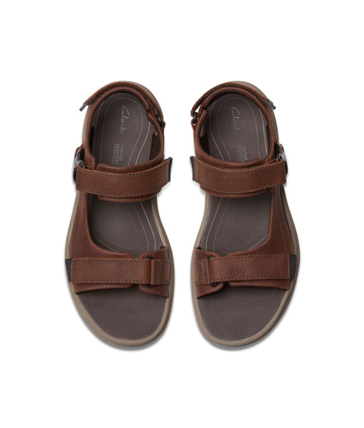 Sandales - Saltway Edge Dark Brown - Homme