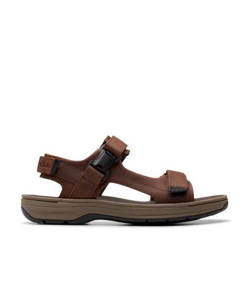 Sandales - Saltway Edge Dark Brown - Homme