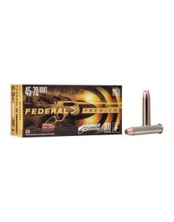 Balles 45-70 Govt 300g Hammer Down