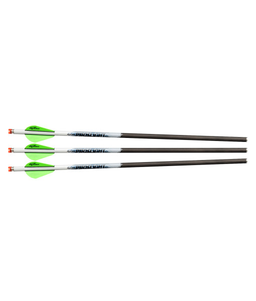 Fleches Proflight Illuminee (3) 16.5''