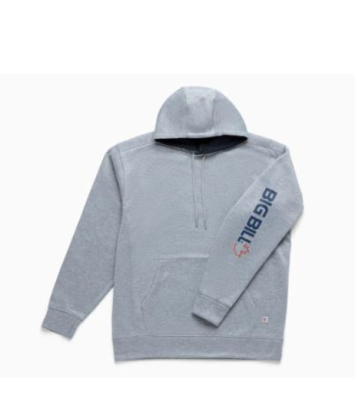 Hoodie Big Bill Gris