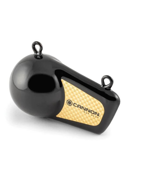 Poid Downrigger 10lb