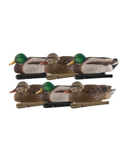 Appelants Top Flight