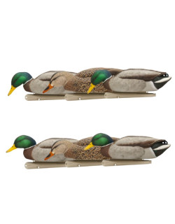 Appelants Back Water Mallard