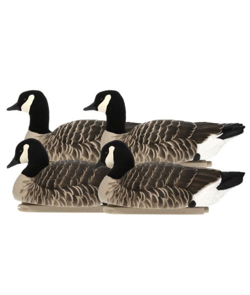 Appelants Avian-x Topflight Lesser Floater