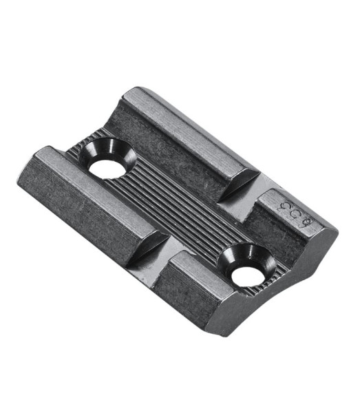 Base Savage 110 / Axis Post 2021