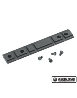 Base Ruger 10/22
