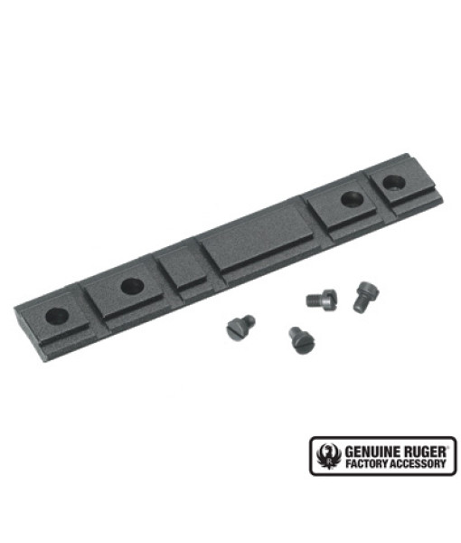 Base Ruger 10/22